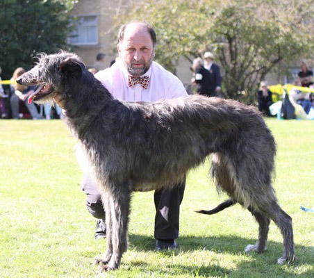 HYNDSIGHT WHO'S THAT GIRL